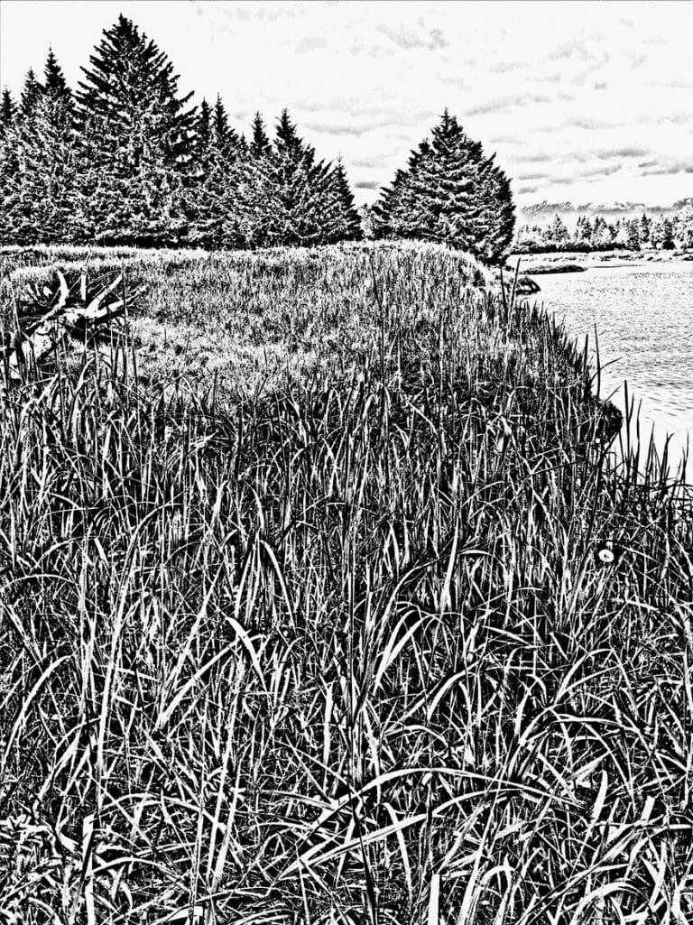 #1707 – Upriver Sketch