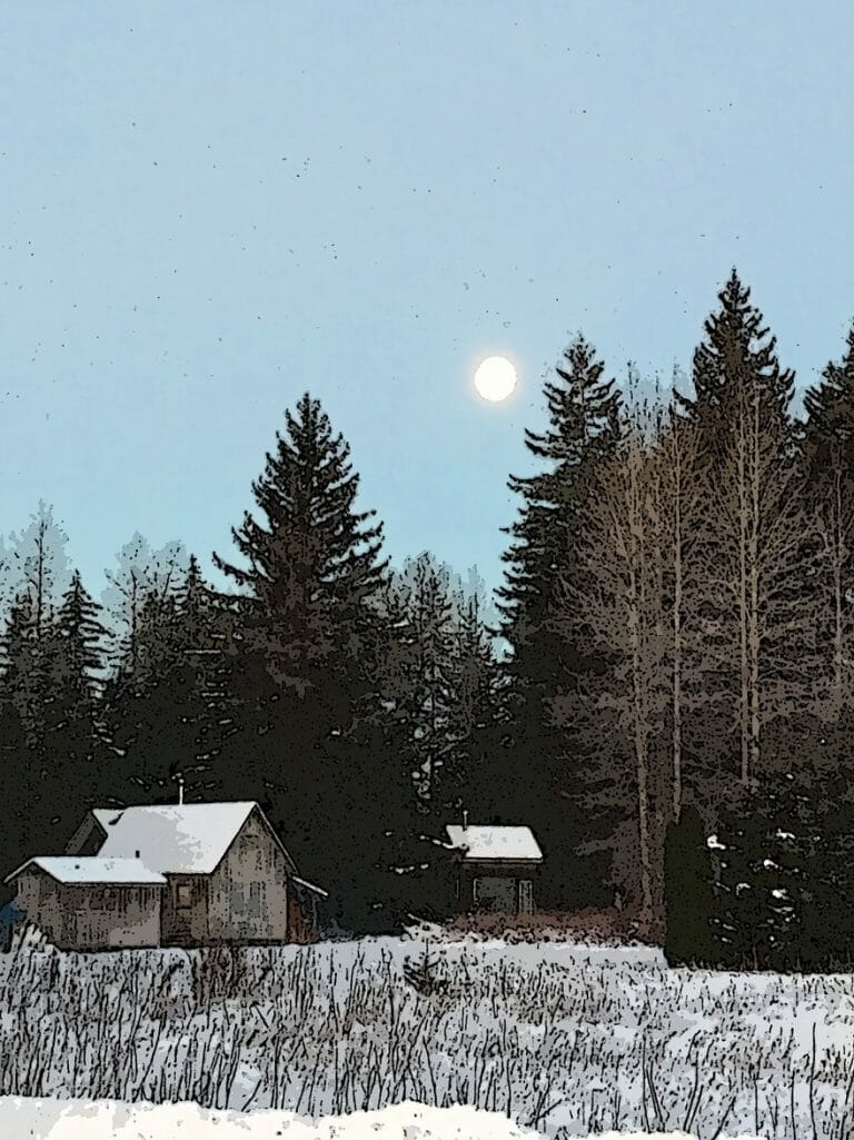 #1711 – The Old Place