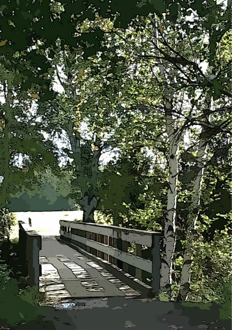 #1715 – Creamer’s Bridge