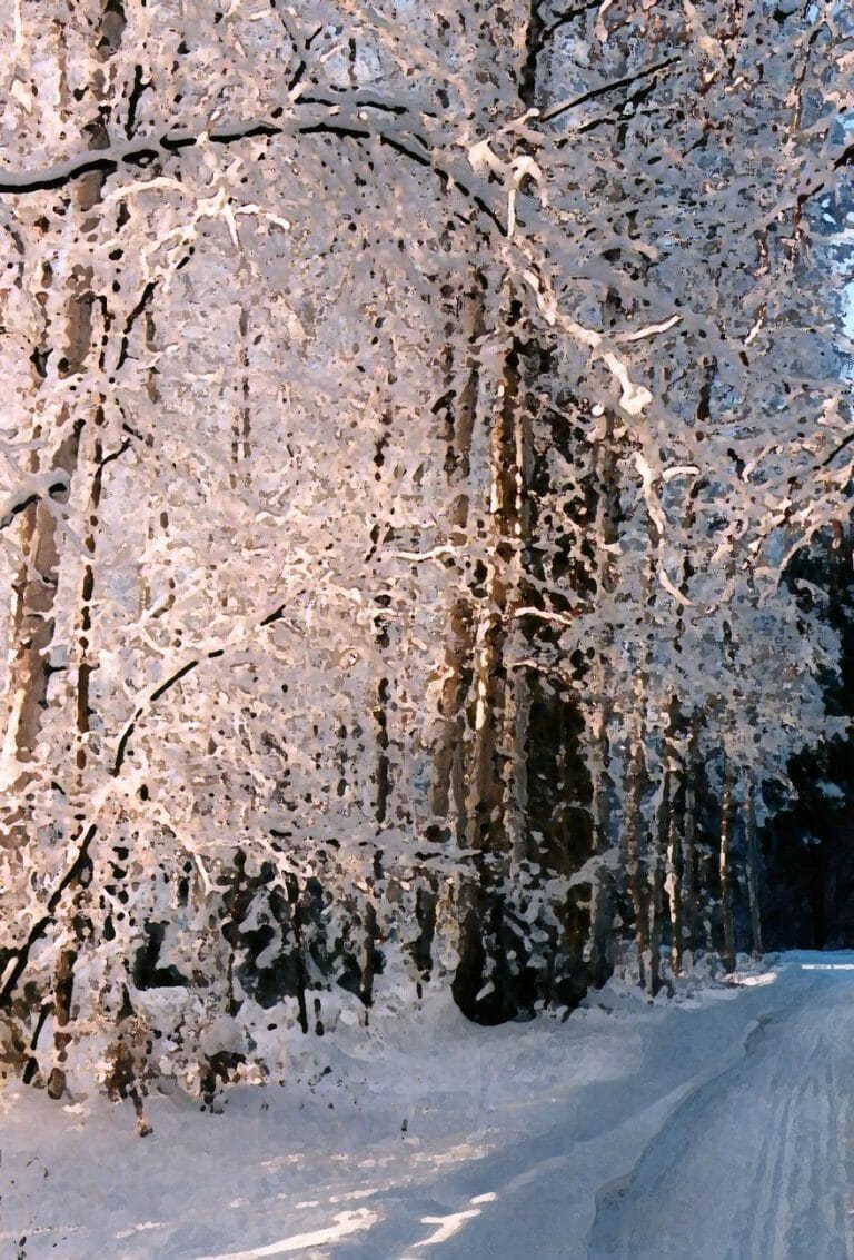 #1718 – Snowy Lane