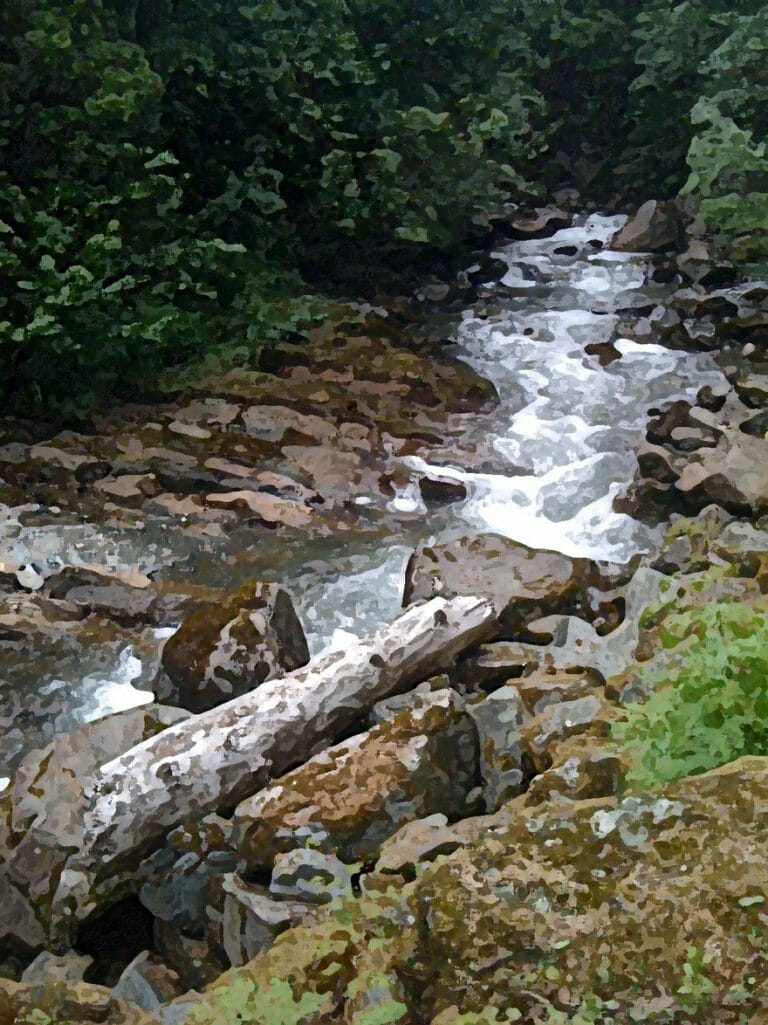 #1720 – Dancing Mountain Stream