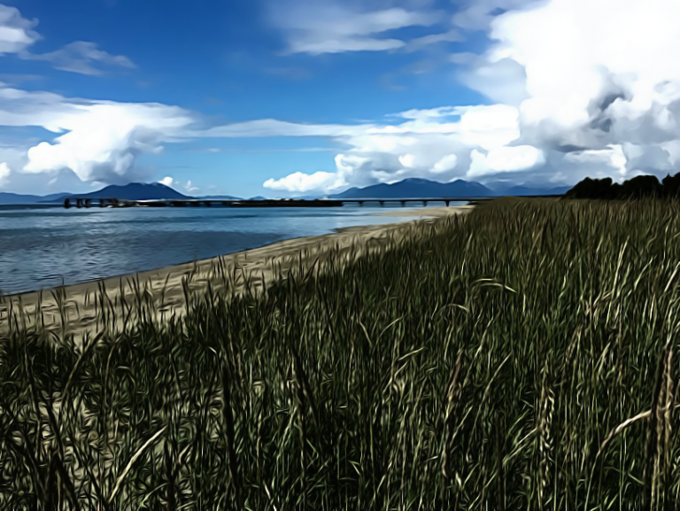 #1733 – Gustavus Beach and Dock