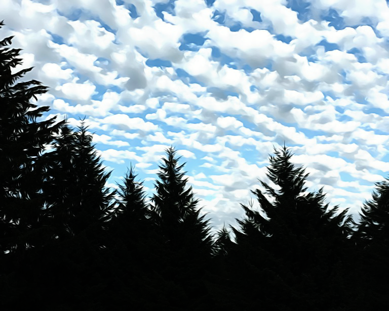 #1736 – Popcorn Sky