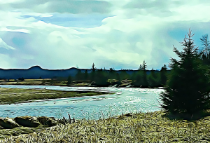 Alaska notecard and limited edition print showing sunshine reflecting on the water, with trees along the riverbank.