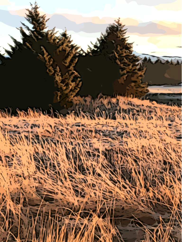 #1806 – Amber Afternoon #1