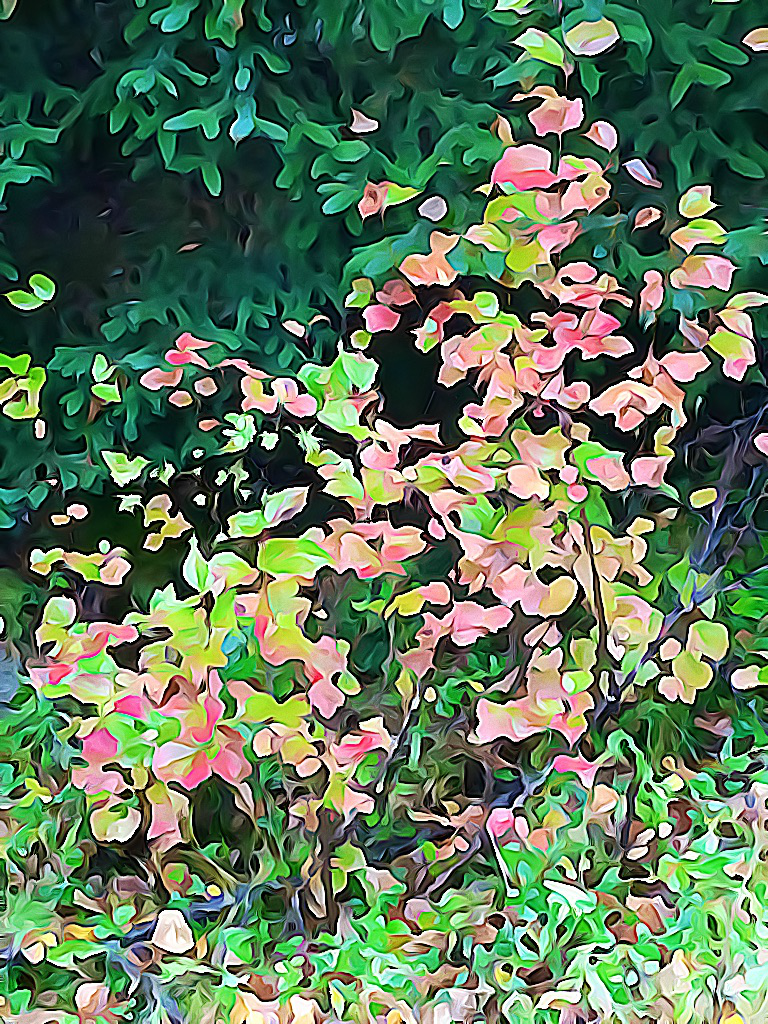 #1810 – Forest Gems