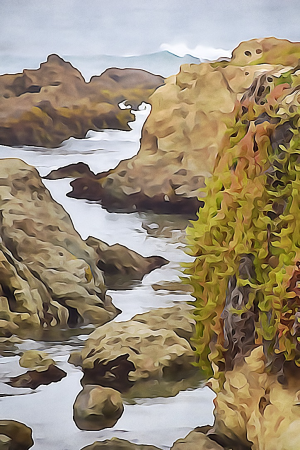 #1823 - Inside Passage
