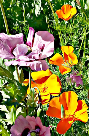 Alaska notecard and limited edition print showing close-up view of colorful poppies.