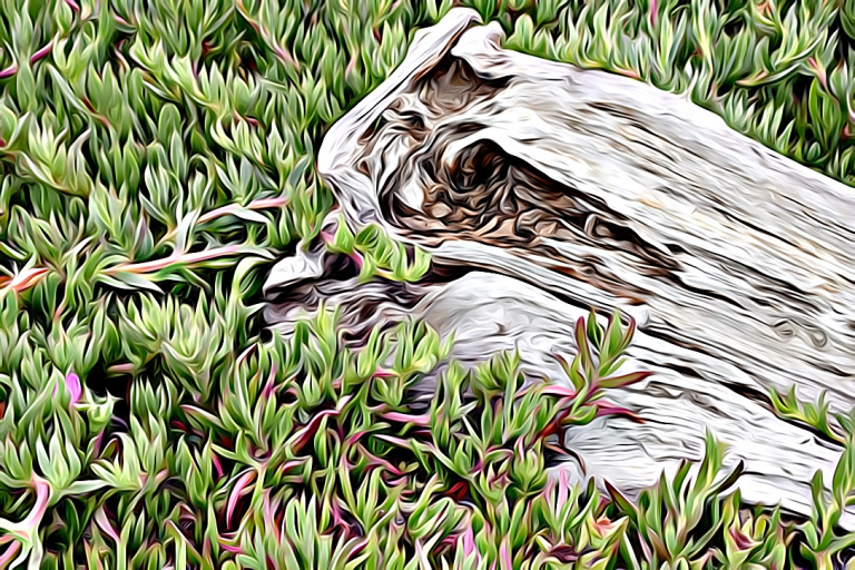 #1831 – Resting Place