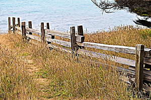 #1828 -  Path to the Sea