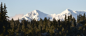 #1907 - Beartrack Mountains From the Park Road