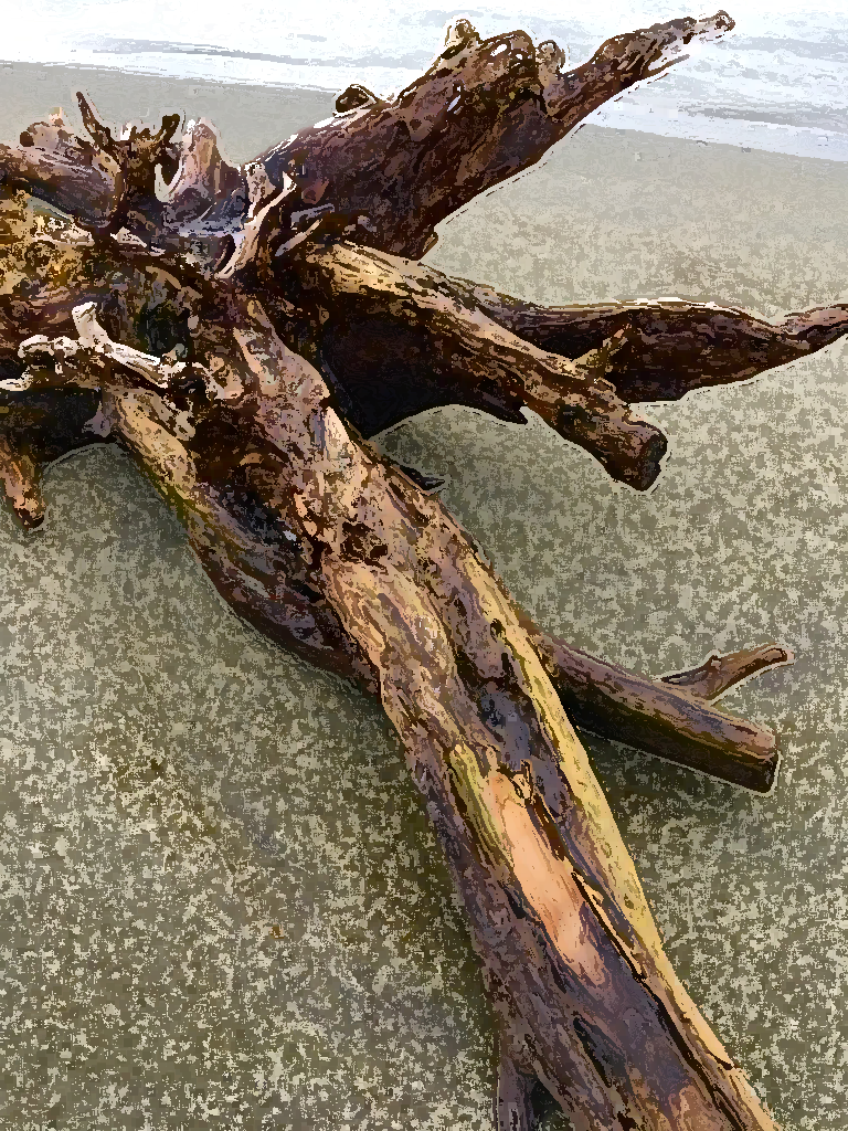 #1912 – Traveler From a Far Shore