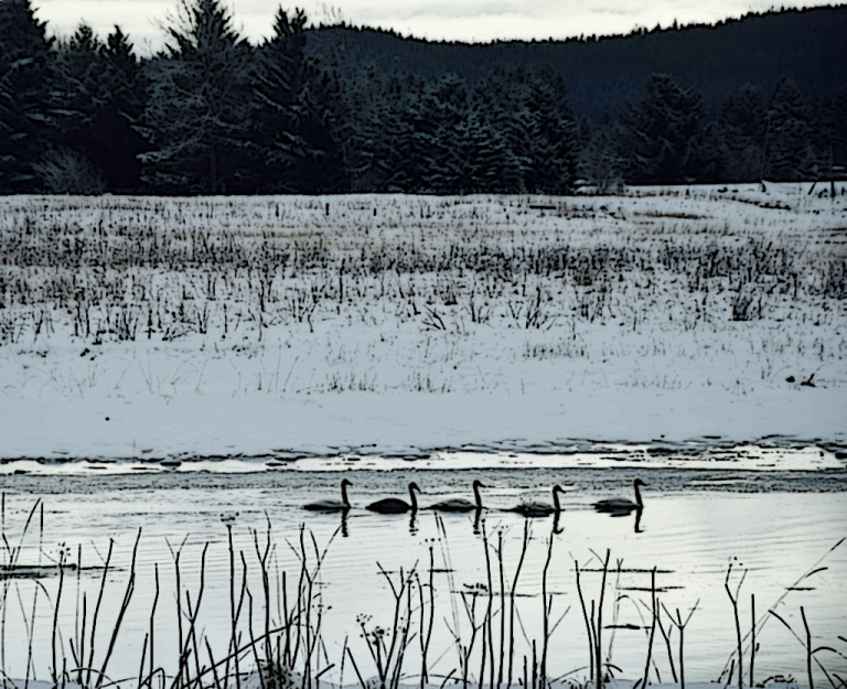 #1908 – Delegation