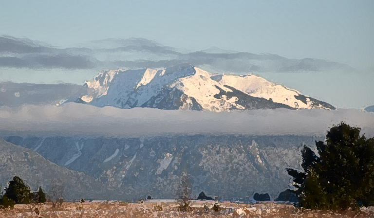 #1910 – Shoulder Wrap