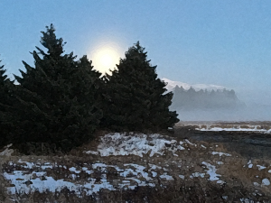 Alaska notecard showing sun rising through fog beyond the trees.