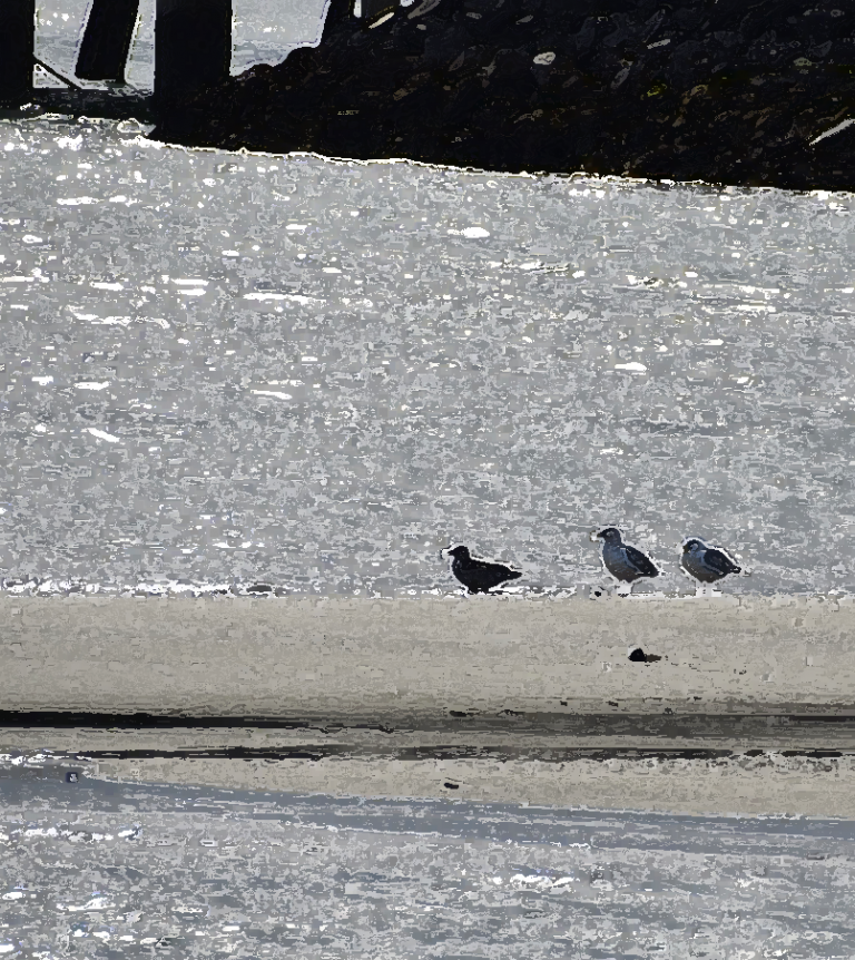 #1931 – Silver Birds