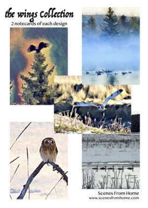 Arrangement of 5 designs for notecard gift box.