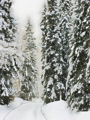 Alaska notecard showing snowy lane through the forest.