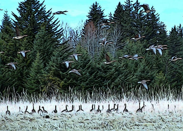 #2102 – What’s the Hurry?