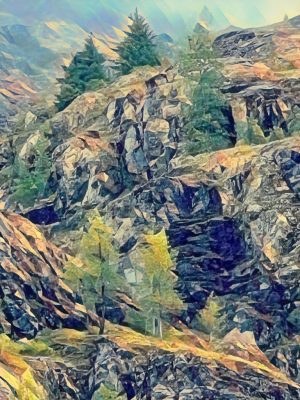 Spruce and cottonwood trees clinging to the rocky cliffside. Glacier Bay, Alaska.