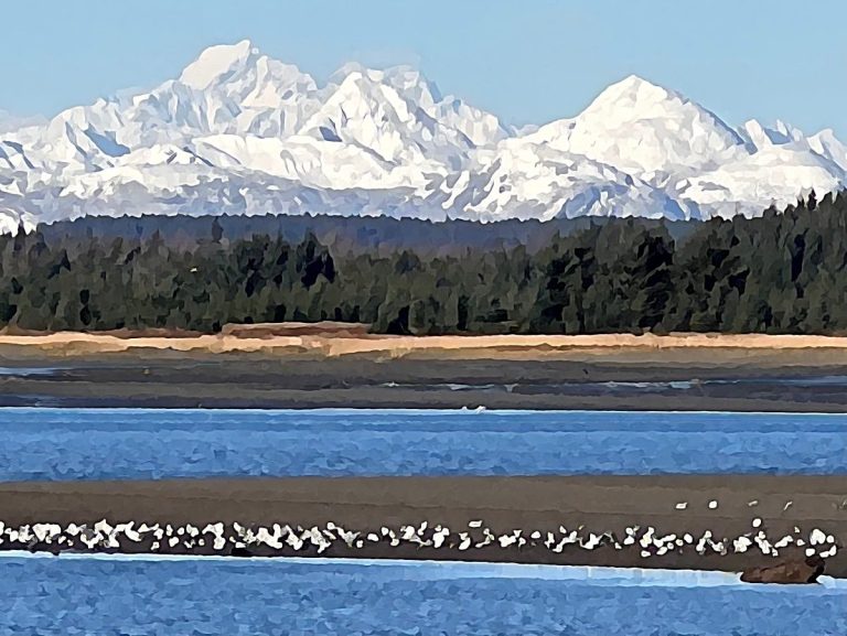 #2212 – Fairweather Friends