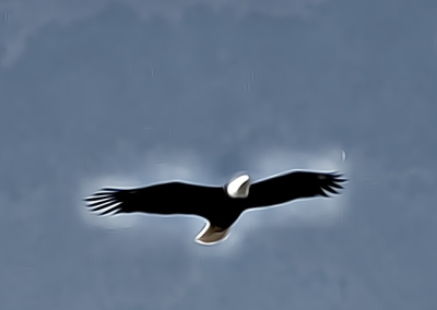 Episode 2: “Soaring”