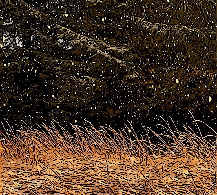 Alaska notecard. Snow falls while long rays of sunshine light the meadow grasses against a dark forest backdrop.