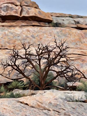 Notecard showing bare tree branches silhouetted against bare rock. Joshua Tree National Park.