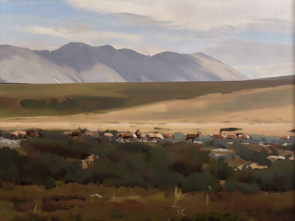caribou